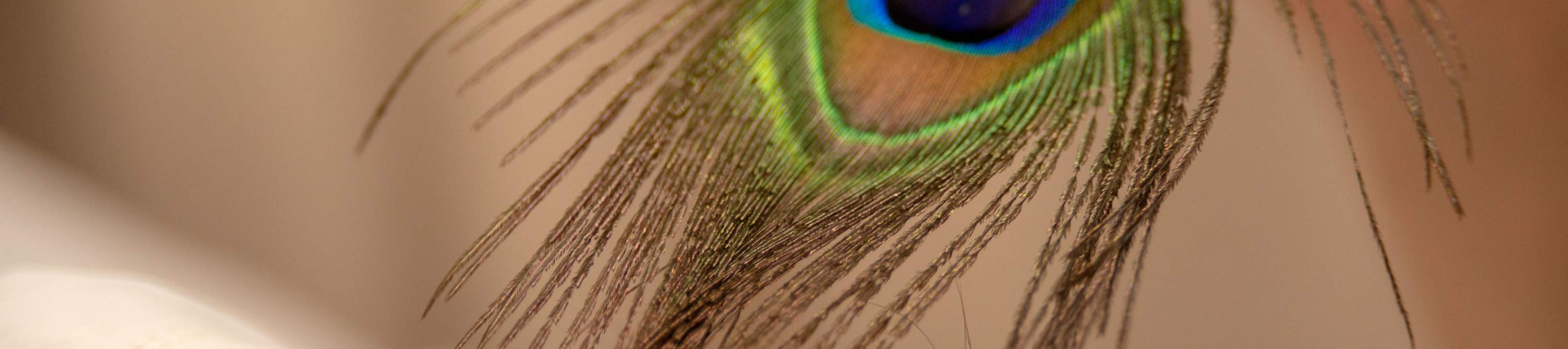 耳詩採耳工作室，採耳，耳詩， 觀塘